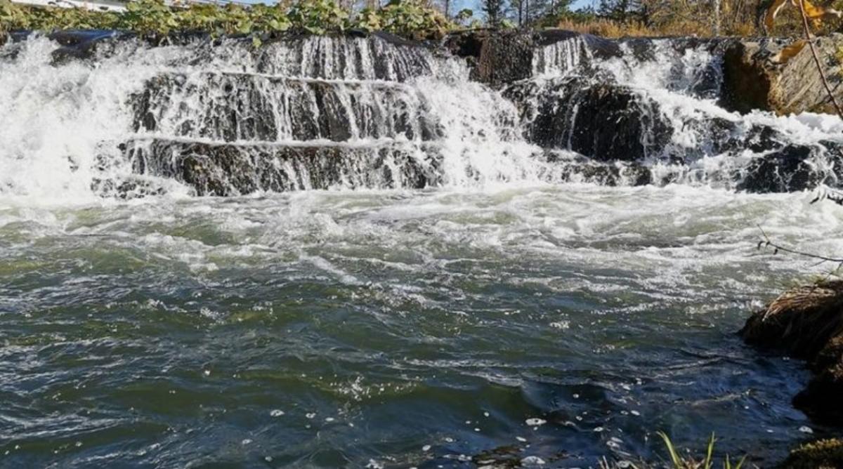 Под Новосибирском у водопада утонул подросток