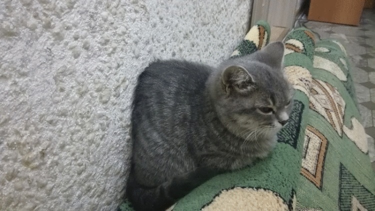 20 фотографий, доказывающих, что реальный мир может глючить так же, как и компьютерная игра 20 фотографий, доказывающих, что реальный мир может глючить так же, как и компьютерная игра