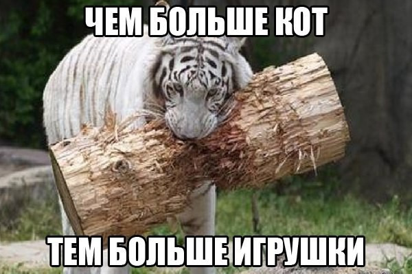 «»