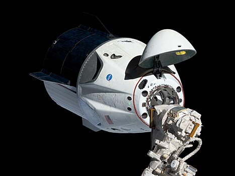 НАСА утверждает состав восьмого экипажа корабля Crew Dragon с российским космонавтом