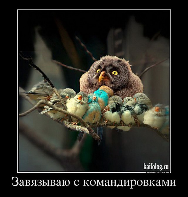 Веселые картинки для зарядки позитивчиком с утра Веселые картинки для зарядки позитивчиком с утра