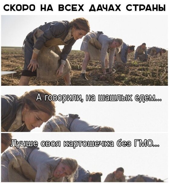 Дачный юмор 