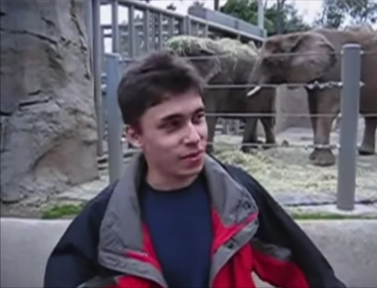 Вошел в историю 21 год назад: какой ролик стал первым на YouTube Джавед, Карим, YouTube, видео, миллионов, известный, PayPal, Google, этого, переехал, семье, России, предприниматель, YouTube —, Херли, загруженного, ролика, ролик, первого, платформу