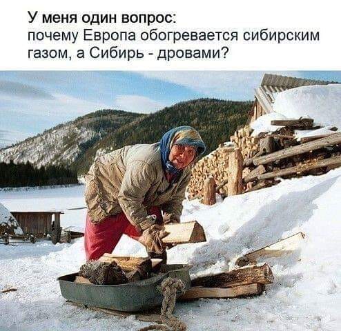 - Пап! А ты в школе дрался? - Конечно, дрался.... больше, работе, знания, Конечно, дрался, разговор, проклялДеньги, итоге, нашлисьПод, холодильникомГруппа, мужчин, завела, болел, здоровье, долбаной, потому, простой, размеренный, образ, жизни