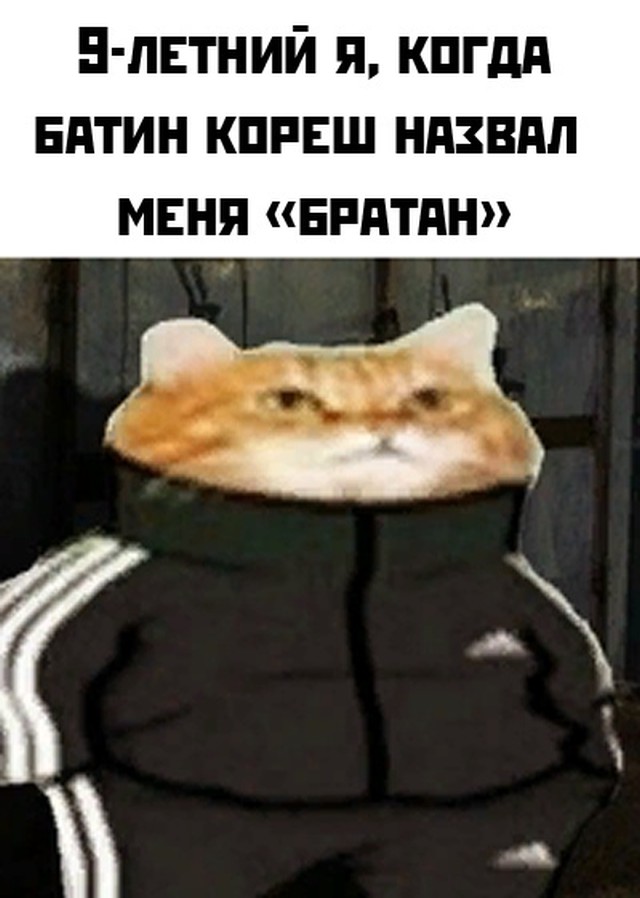 Подборка картинок. Вечерний выпуск Подборка картинок. Вечерний выпуск приколы,смешные картинки,юмор