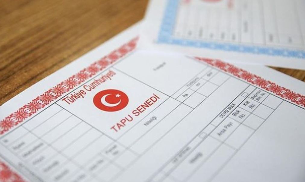 Тару в Турции