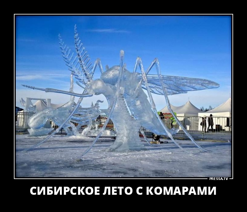 Забавные веселые демотиваторы обо всем на свете Забавные веселые демотиваторы обо всем на свете