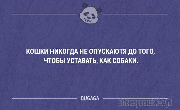 По прогнозам Гидрометцентра этим летом температура будет выше, чем зимой анекдоты,демотиваторы,позитив,приколы,юмор