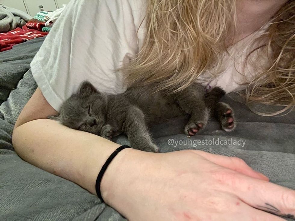 Найденный котенок не отпускает свою спасительницу Найденный котенок не отпускает свою спасительницу не всё так грустно