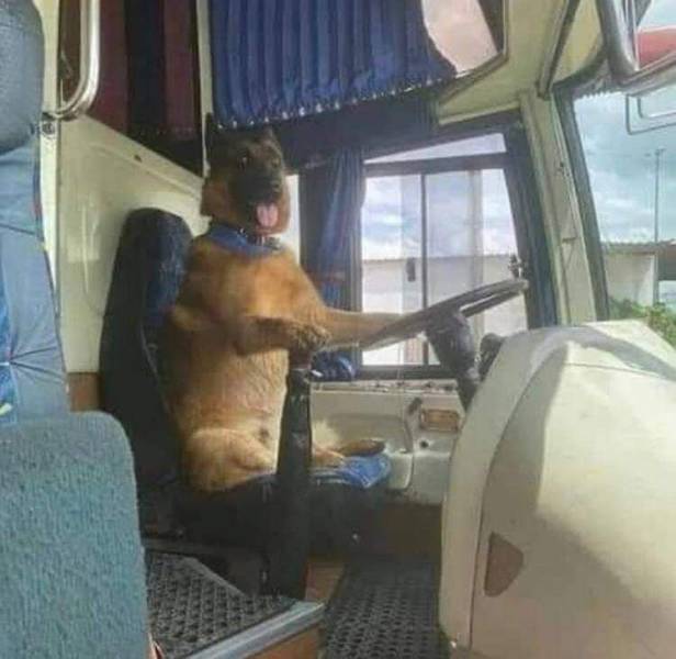 Подборка прикольных картинок Подборка прикольных картинок приколы,смешные картинки,юмор