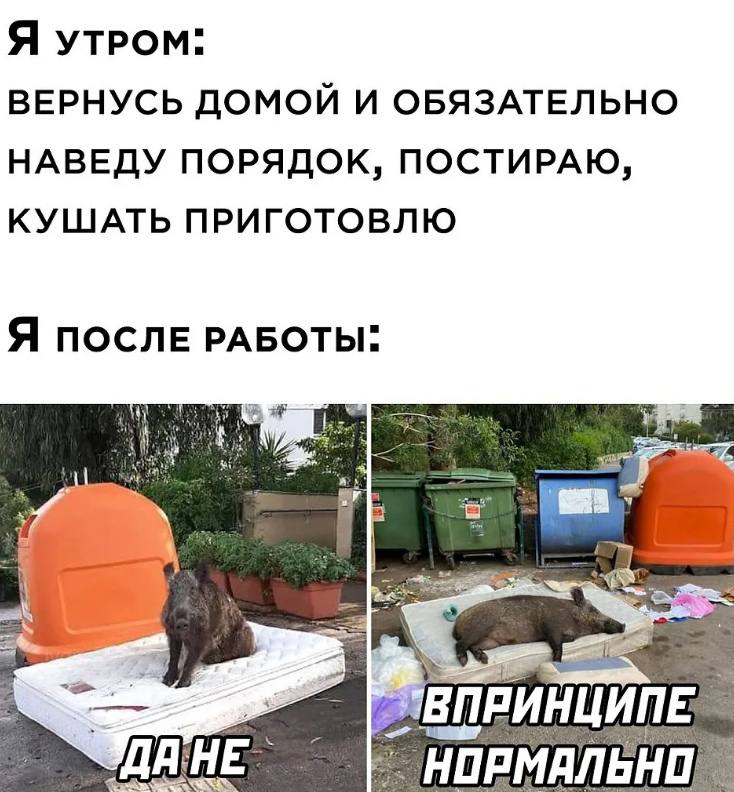 Смешные картинки и мемы про работу за день до выходных Смешные картинки и мемы про работу за день до выходных