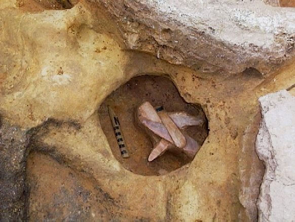 В Подмосковье раскопали мамонта с сюрпризом внутри ynews, археология, кости, мамонт, находка, секрет, сюрприз