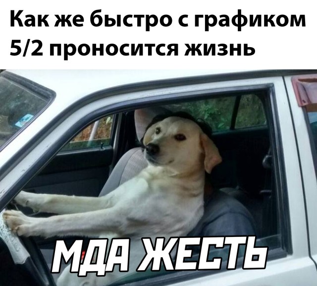 Подборка прикольных картинок Подборка прикольных картинок приколы,смешные картинки,юмор