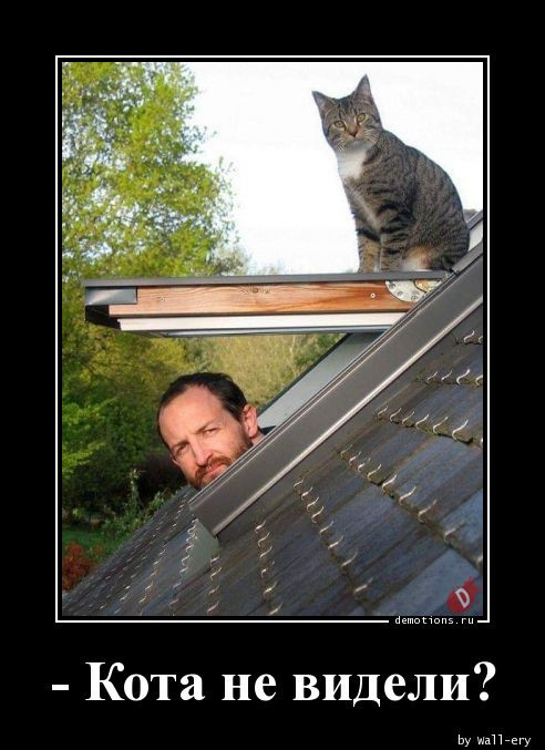 Демотиваторы дня: «Детское заблуждение — …» 