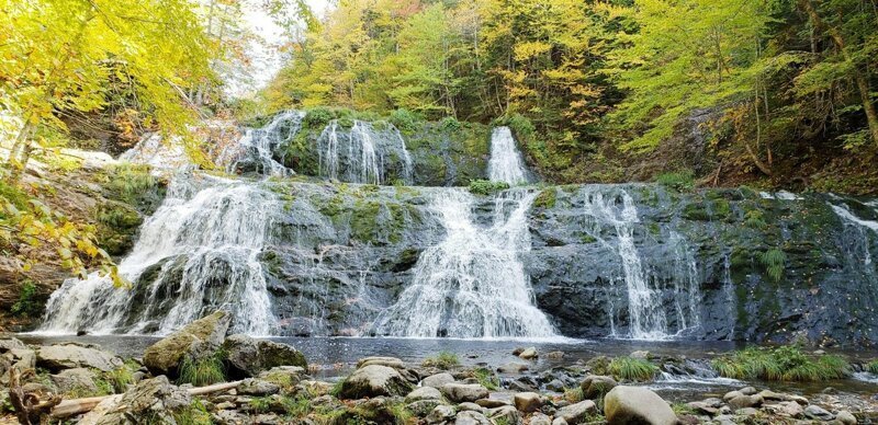 Наш удивительный мир! природа