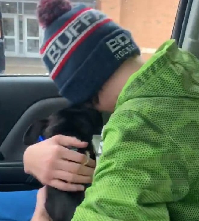 Собаку обнимают