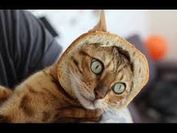 Подборка смешных и позитивных картинок для хорошего настроения Подборка смешных и позитивных картинок для хорошего настроения