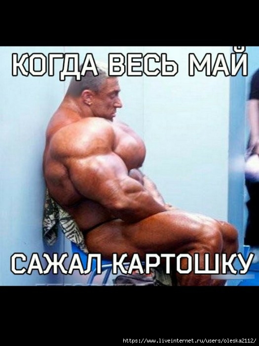 Обеспеченная женщина в холод носит под джинсами целые колготки! веселые картинки,Истории из жизни,приколы