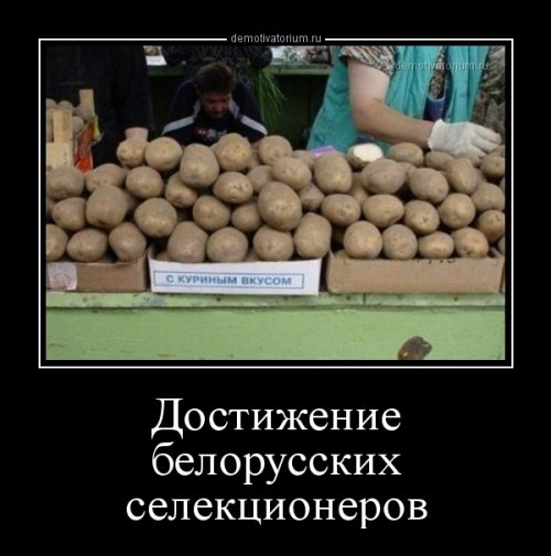 Свежие демотиваторы на Юморине