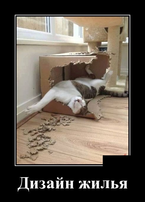 Зачетные и прикольные демотиваторы для пятничного настроения и веселых улыбок