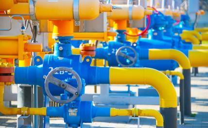 Байрактар потребовал от Путина больше газа