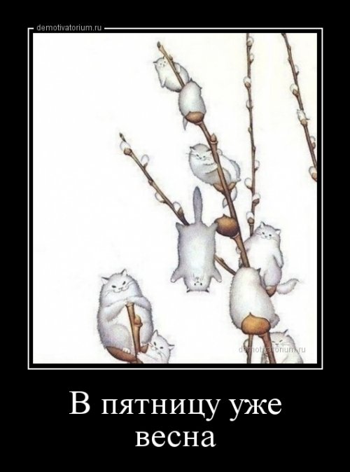 Смешных демотиваторов пост 