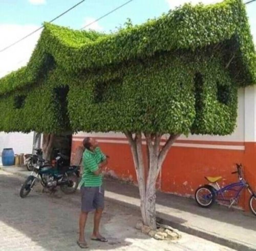 Прикольные картинки, всем добра! Прикольные картинки, всем добра!