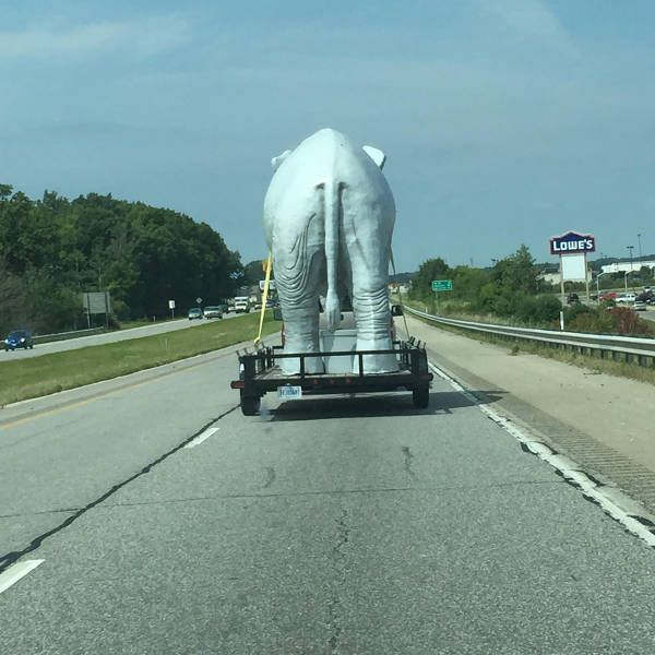 Подборка картинок. Вечерний выпуск (52 фото)