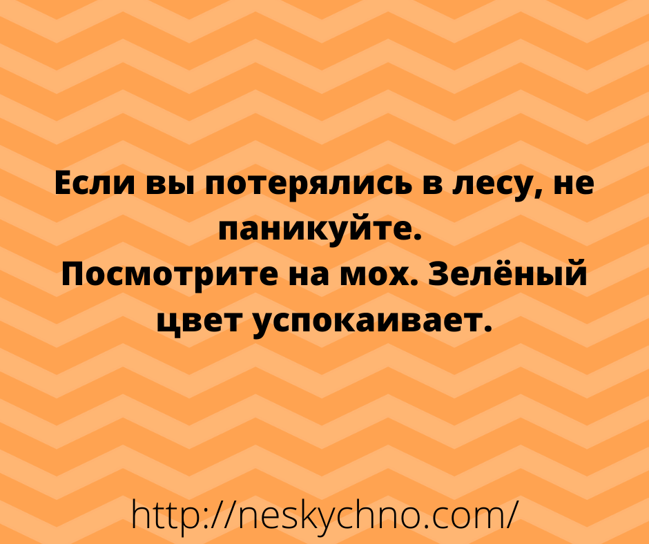Новые шутки и анекдоты в картинках
