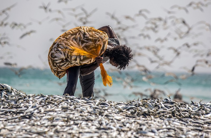 Колоритные снимки рыбаков Омана