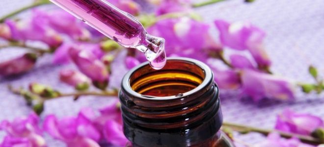 ��� ����� ������������