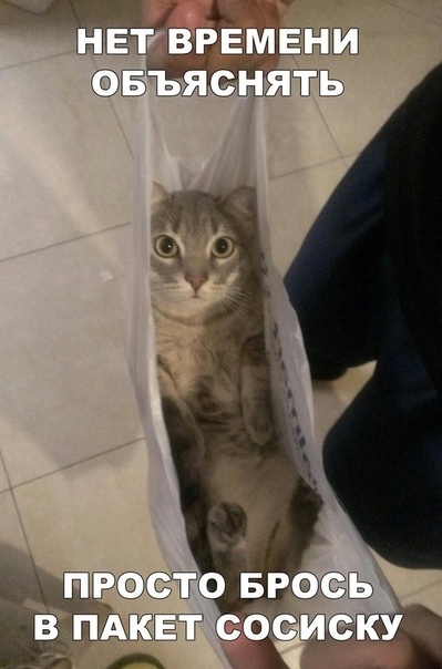 Прикольные и жизненные надписи к фотографиям Прикольные и жизненные надписи к фотографиям