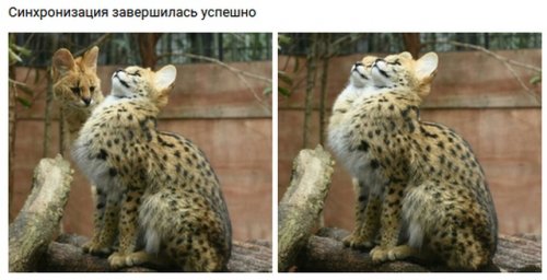 Позитивная подборка фото-приколов Позитивная подборка фото-приколов mir-interes.info