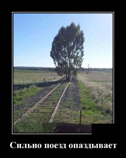 Зачетные и прикольные демотиваторы для пятничного настроения и веселых улыбок Зачетные и прикольные демотиваторы для пятничного настроения и веселых улыбок демотиваторы свежие,приколы,смешные демотиваторы,юмор