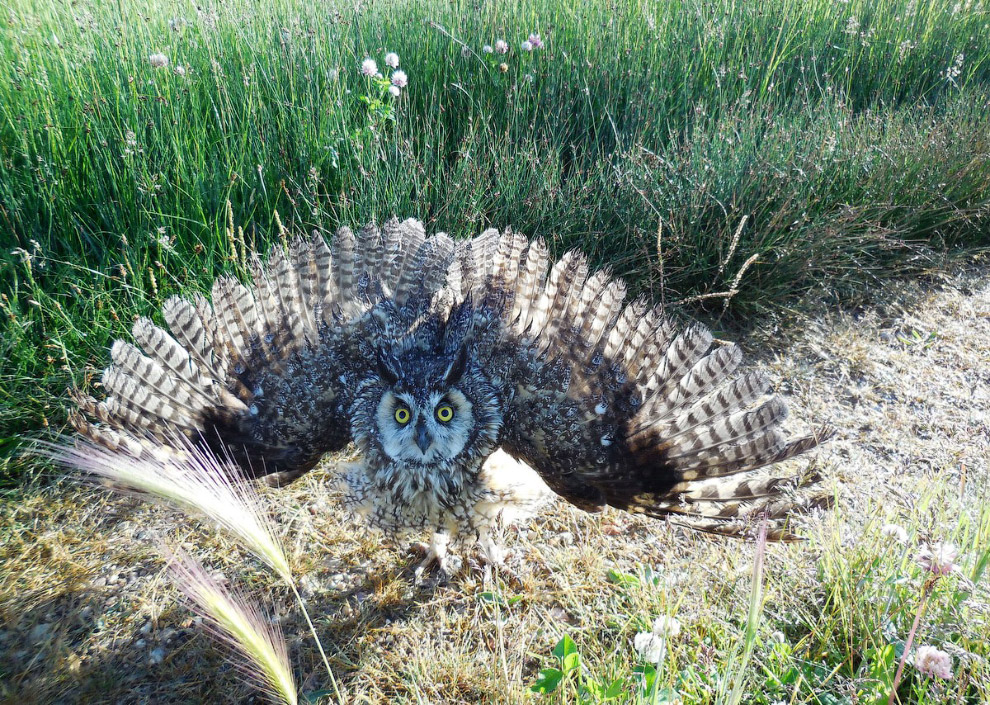 Путешествие в «Столетний штат» Путешествие в «Столетний штат» красота,природа,США