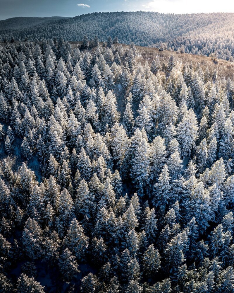 Наш удивительный мир! природа