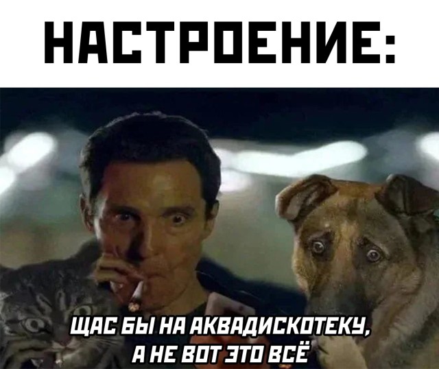 Подборка картинок. Вечерний выпуск Подборка картинок. Вечерний выпуск приколы,смешные картинки,юмор