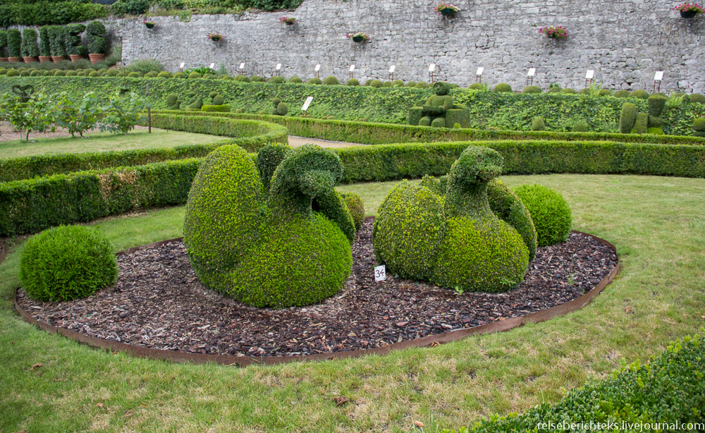 Парк топиара в Дюрбюи (Бельгия) Topiary, топиар, парков, деревьев, Garden, можно, фигуры, некоторые, формы, Topiares, топиара, действительно, Франции, фигур, кусты, много, только,  Топиар, Чандигархе, Индия