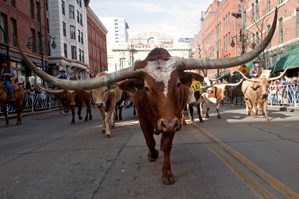 Путешествие в «Столетний штат» Путешествие в «Столетний штат» красота,природа,США