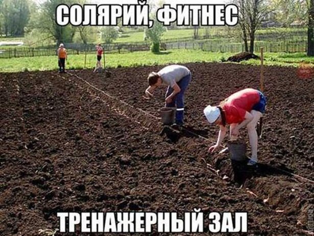 Дачный юмор 