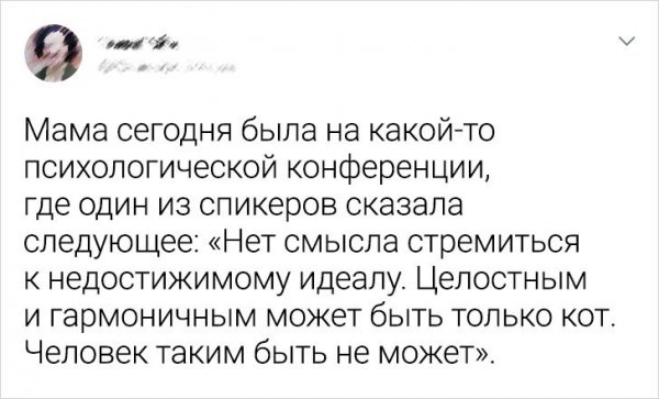 Подборка сообщений из социальных сетях