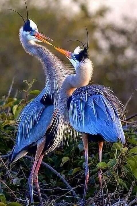 Природа-художник! Природа-художник! природа