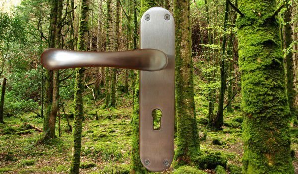 Связь с природой