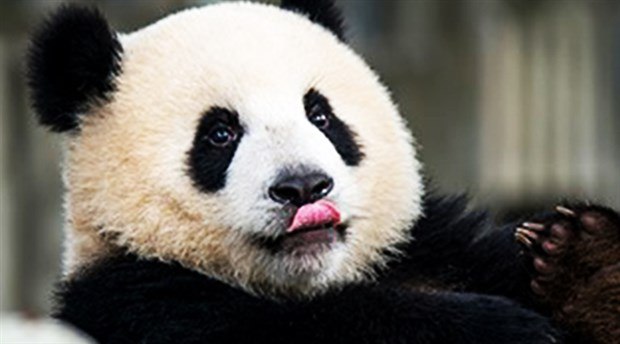 Женские цитаты, мысли и желания в веселых картинках с надписями Женские цитаты, мысли и желания в веселых картинках с надписями картинки с надписями,прикольные картинки,смешные комментарии,угарные фотки