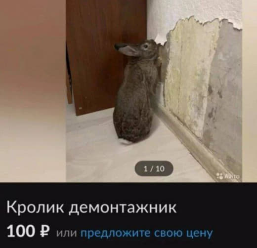 Юморные картинки 