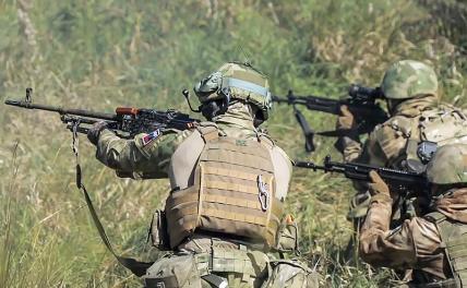 Американской стратегии по разгрому русской армии «На медленном огне» Россия ответит «быстрым огоньком» геополитика,украина