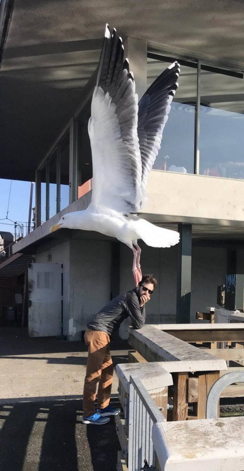 Самые прикольные стоп-кадры