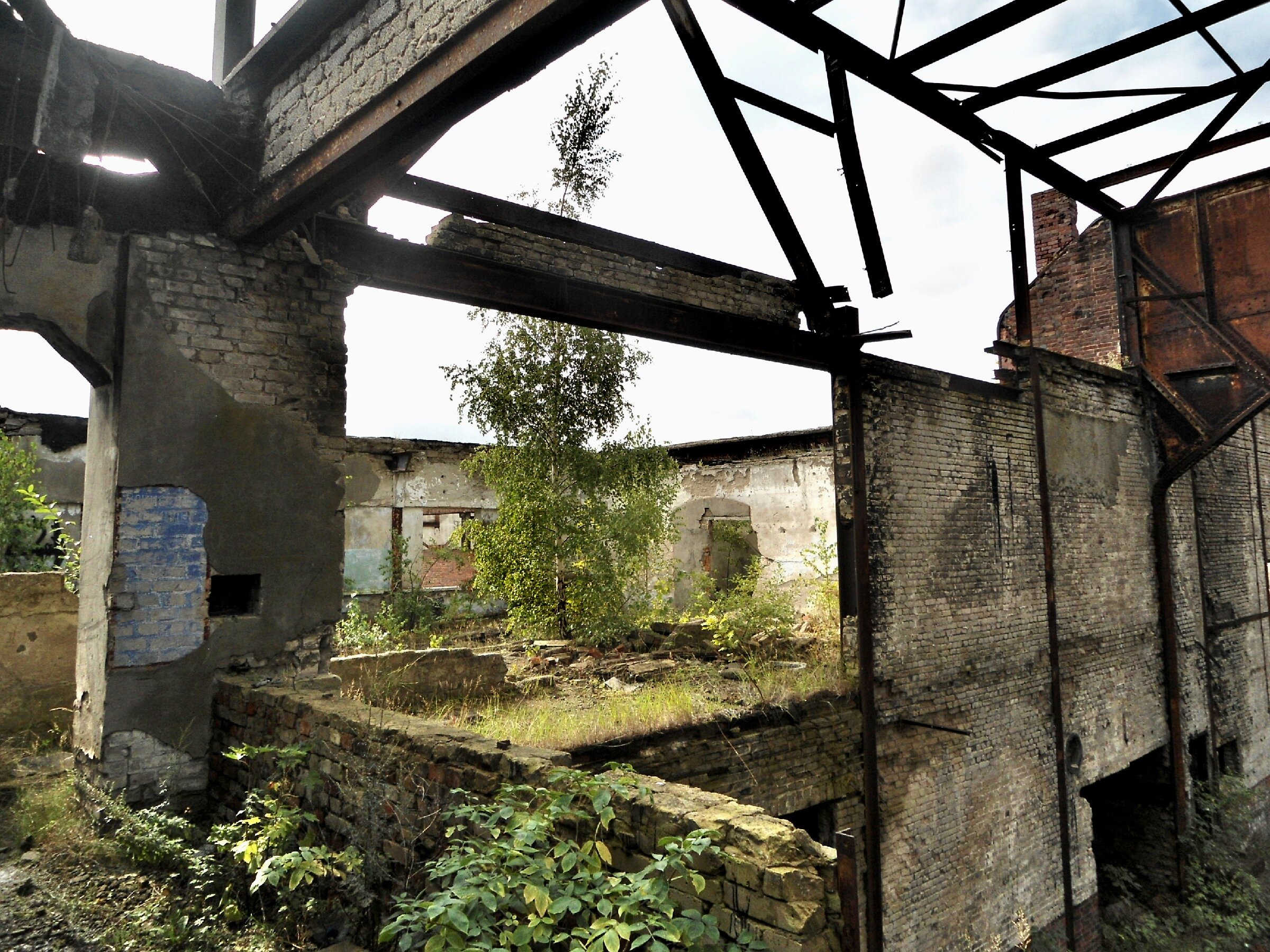 Заброшенный немецкий аэродром Люфтваффе Нойтиф. Начало. Заброшенный немецкий аэродром Люфтваффе Нойтиф. Начало.