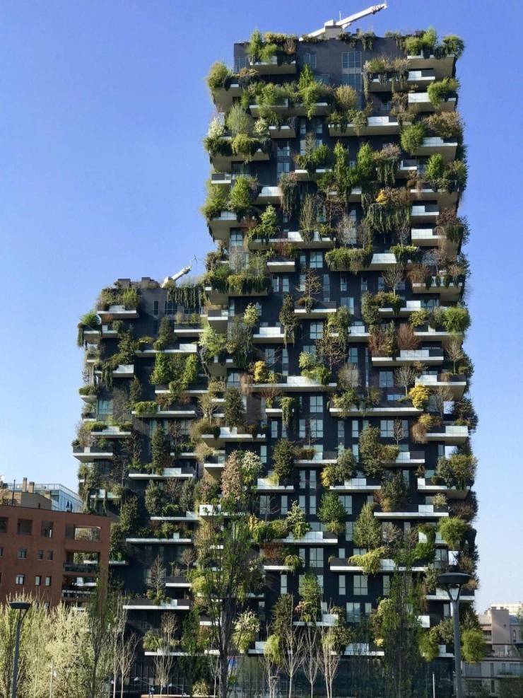 Подборка прикольных картинок Подборка прикольных картинок приколы,смешные картинки,юмор