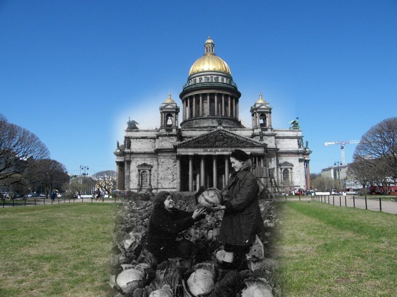 Ленинград 1942-2009 Исаакиевская площадь.Урожай капусты блокада, ленинград, победа